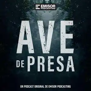 Ave de Presa cover