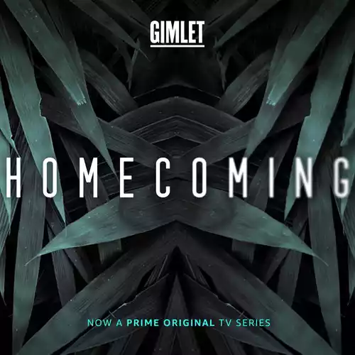 Homecoming cover