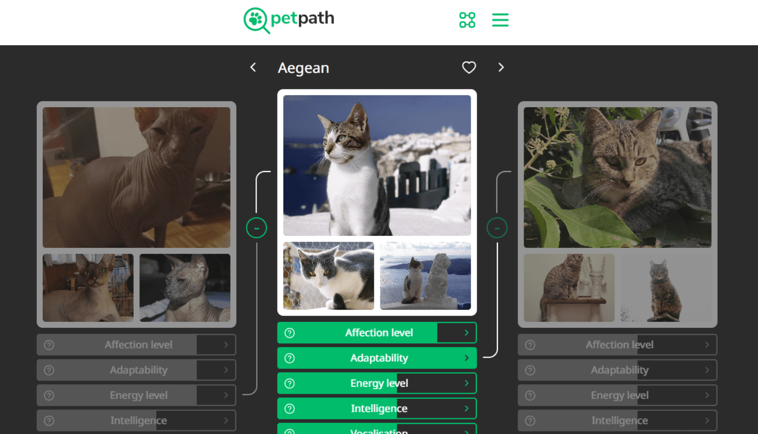 petpath banner