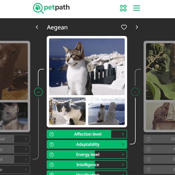 petpath banner